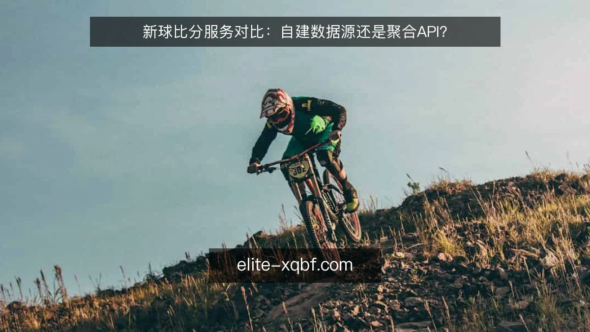 新球比分服务对比：自建数据源还是聚合API？