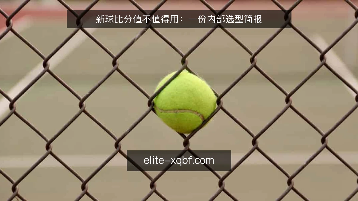 新球比分值不值得用：一份内部选型简报