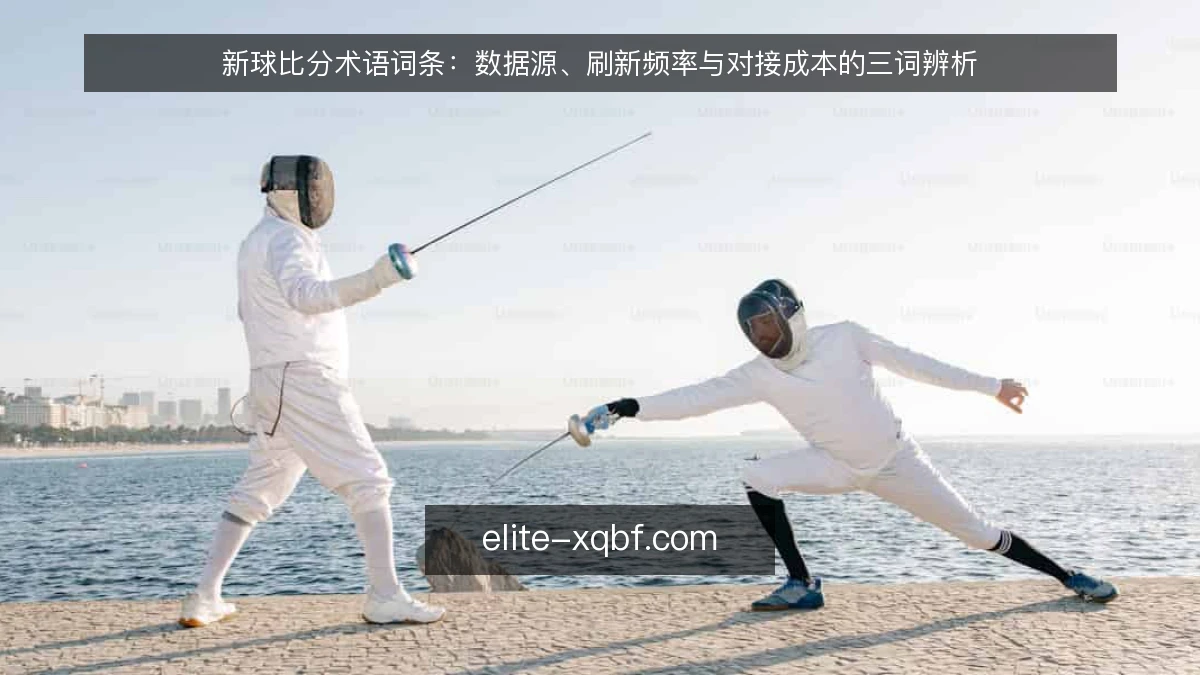 新球比分术语词条：数据源、刷新频率与对接成本的三词辨析
