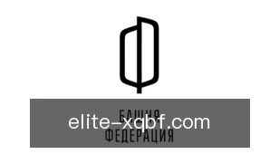 新球比分